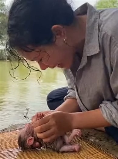 Please Save baby Monkey Now!