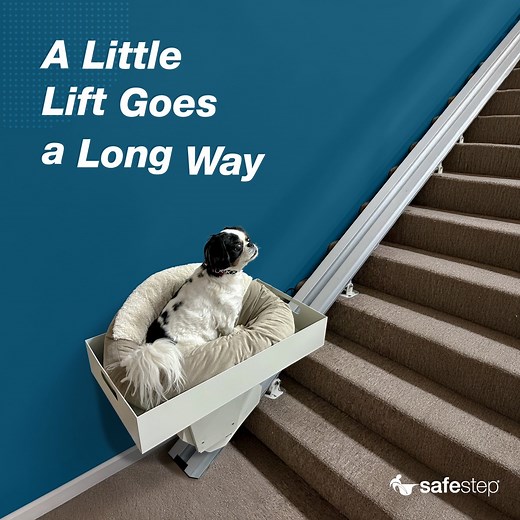 1K views | Balance and vision concerns can make stairs tricky. Cargo lifts offer a helping hand to limit the risk of slips and falls, keeping you (and your furry friends) safe and comfortable at home. Learn More. https://bit.ly/47WFXL4 #SafeStep #CargoLift #IndependentLiving | Safe Step Walk-In Tubs & Showers | Facebook