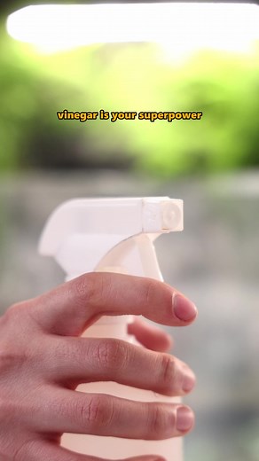 Cloudy white stains on old aquariums can feel overwhelming. But they’re not damage and you can fix it! They’re just mineral deposits from hard water. 🪴✨ And vinegar? It works for a reason. - Most of that white buildup is calcium carbonate - Vinegar contains acetic acid - When they meet, the calcium dissolves - No scraping. No harsh chemical sprays It’s simple chemistry. That’s why it works so well. ✨🤍 I always choose this method for aquariums and terrariums 🫙 - Safe once rinsed properly - No