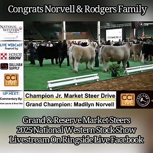 70K views · 932 reactions | Grand & Reserve Market Steers 2025 National Western Stock Show Livestream On Ringside Live Facebook | Matt Lautner Cattle | Facebook