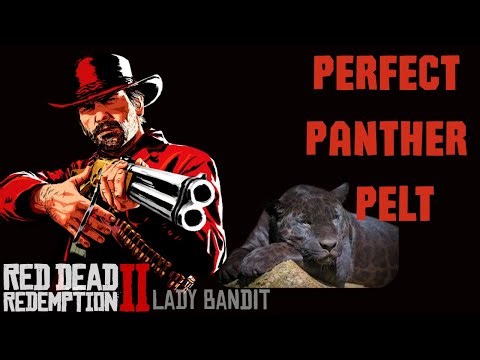 Where To Find A Panther RDR2 #arthurmorgan #reddeadredemption2