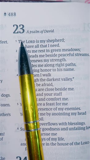 Shiloh (@bibledailyread)’s videos with original sound - Shiloh