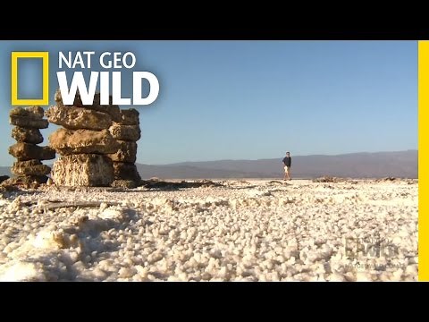The Lowest Point in Africa | Shane Untamed