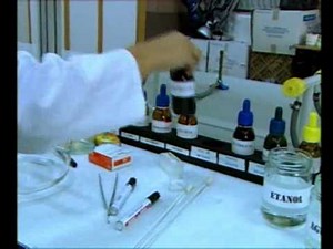 Técnicas Básicas en el Laboratorio de Microbiología. Tinciones.