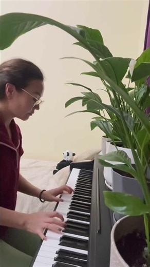 Amelie -Piano cover (Yann Tiersen) #piano #ameliecover #ameliepianocover #pianomusic #playpiano #zee