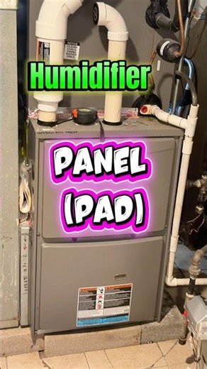 🔥El error mortal del humidificador que nadie te dice.