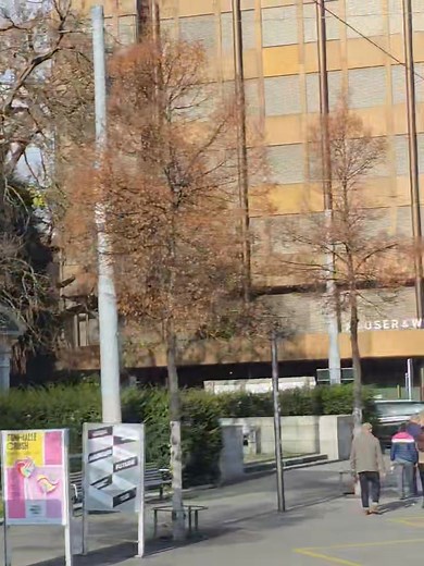 City bus tour in Zurich City Switzerland. Saturday afternoon. | Ko Aung Lin