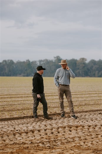 McLain Farms on Instagram: "Farm Tech is back 🚁🔥 Today we’re talking thermal drone technology with help from @nuwayag, who supplies the equipment-and yes, this one’s a DJI Matrice. Using thermal imaging, we’re able to identify temperature differences across our onion fields, giving us valuable insight into plant stress. The goal? Early detection and disease prevention-catching issues before they ever become a problem. 🌱🧅 Smarter tech. Healthier fields. Better farming. #FarmTech #NuwayAg #DJI