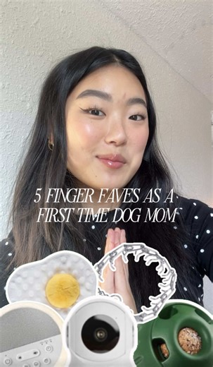 Dog finds we can’t live without 🐶 Honorable mention @The Foggy Dog for all of our accessories! If you have any other recommendations for your pup, please share❣️ #dogessentials #firsttimedogowner #rescuedog #pitbullmix #review @Shop BARK @Amazon @Woof Pet @Yogasleep