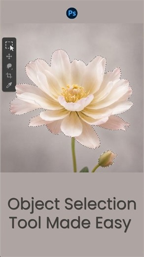 Photoshop Object Selection Tool Made Easy