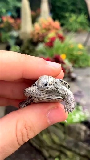 the power of transformation