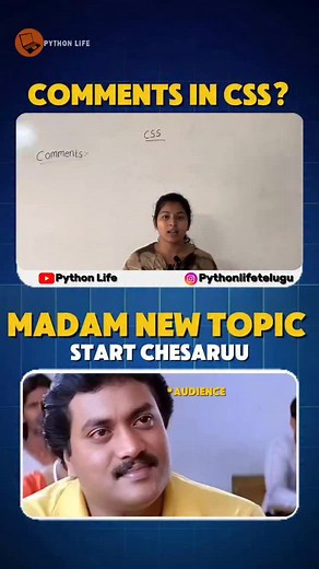 PythonLife on Instagram: "Comment css"