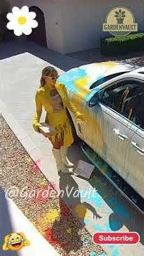 Best Doorstep Surprise Moments 📦😄 (Caught on Ring Camera)