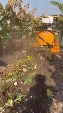 Agricultural machine designed to shred banana stalks, enhancing field preparation