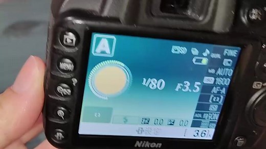 尼康D3100 一分钟超简单教学