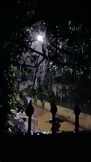 29 ноября 2025 г.