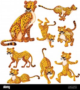 Set of cheetah cartoon character Stock Vector Image & Art - Alamy