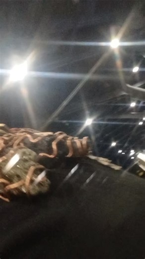 Melvin Neal on Instagram: "PUTTING TOGETHER THE BIGGEST Car show IN HOUSTON. SLAB, EXOTIC CARS,ATV'S BOATS TRUCKS ,VANS ,BIKES ANYTHANG U CAN Show OFF BRING IT.IF INTERESTED COMING SOON LET ME NO 37-419-5063"