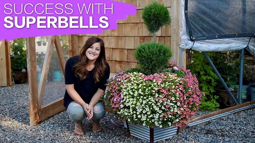 Here's how to grow beautiful Superbells in your garden! | Proven Winners