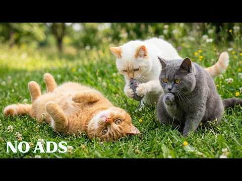 12 Hours Soothing Cat Music 🎵 Calm Sleep Music for Anxious Cats 💖 Deep Rest & Comfort