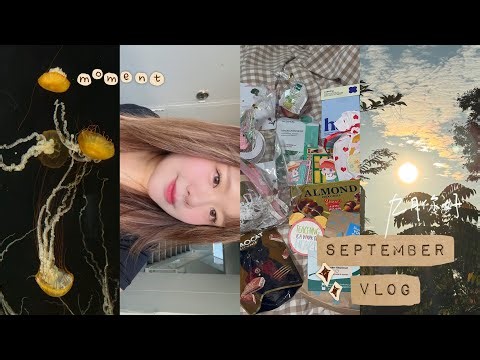 九月 September Vlog
