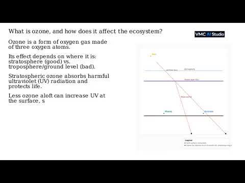 What is ozone, and how does it affect the ecosystem?