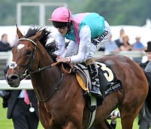 Frankel gets his own range of merchandise - Horse & Hound