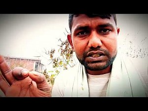 Satta King UP 786 | UP Satta Game, Black Satta, daily gali disawar,