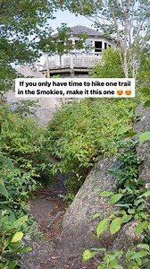 Mount Cammerer via Low Gap Trail ⤵️ This 11.5-mile roundtrip trail starts at the Cosby Campground in the Smoky Mountains and gains more than 3,000 feet of elevation. But the views at the top are worth every grueling step! 🙌🏼😂 The highlight of this trail is the fire tower at the summit and the panoramic views of the surrounding mountains! 😍😍 On a clear day, the views at the top are absolutely STUNNING! But just note - this is a TOUGH trail! Not suitable for beginners. PRO TIP: I’d highly rec