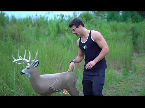 Field Logic Shooter Buck 3D Review - Watch Before You Buy!