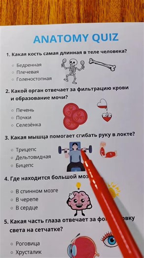 Fun Anatomy Quiz to Test Your Knowledge