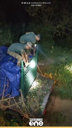 പാലക്കാട്‌ കൂട്ടിൽ അകപ്പെട്ട പുലിയെ ഉൾക്കാട്ടിൽ തുറന്നു വിട്ടു