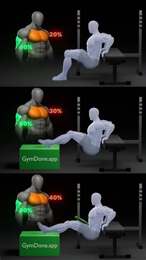 Legs And chest video 3D Animation