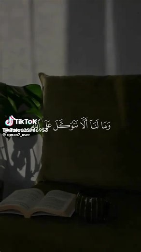 فيديوهات أنشأها Hfjh Jhff (@hfjh.jhff) باستخدام الصوت الأصلي - Hfjh Jhff