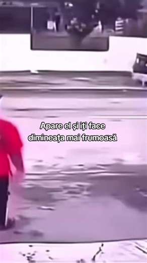 Funny Moments😂 (@dext.funny86)’s videos with sunet original - Funny Moments😂