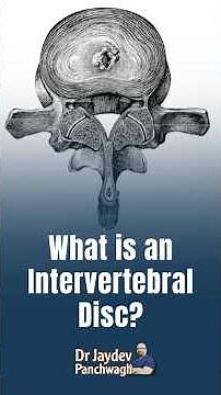 What are Intervertebral discs?