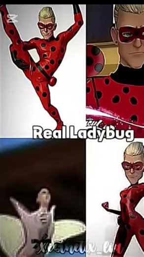 fake ladybug...! real ladybug🐞