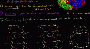 Tertiary structure of proteins