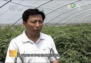 臭氧喷雾器使用技术