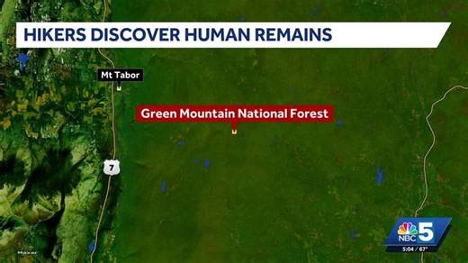 Human remains found in Green Mountain National Forest, Vermont State Police says | Haystack News