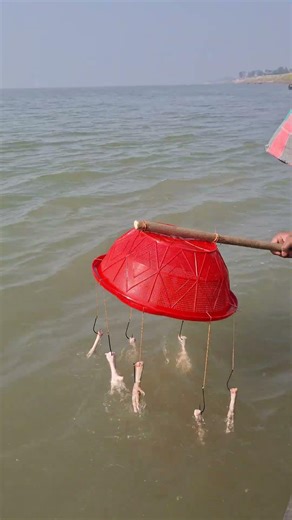 Hook Fishing With Chicken Leg Bait part 01 #fishing #fish #amazingfishing