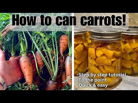 HOW TO CAN CARROTS: Pressure canning for beginners | Step by step tutorial