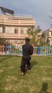 Real Ninja Unleashed: Traditional Japanese Sai Performance