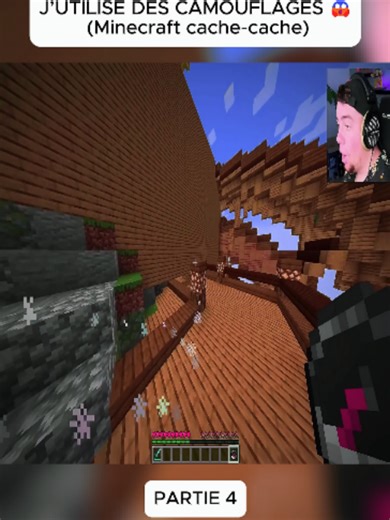 J’UTILISE DES CAMOUFLAGES 😱 (Minecraft cache-cache) 4#minecraft #minecraftfr #tnt #gamingfr #pourtoi #fyp #tiktokfrance #foryoupage