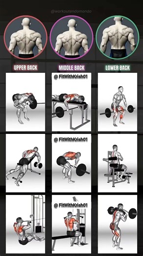 Build a MONSTER Back💪 | Train All 3 Back Layers for Maximum Width & Thickness🔥 #shorts #back #gym