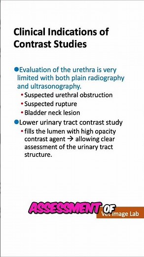 Retrograde Urography: Urinary Bladder & Urethra (Contrast x-ray)