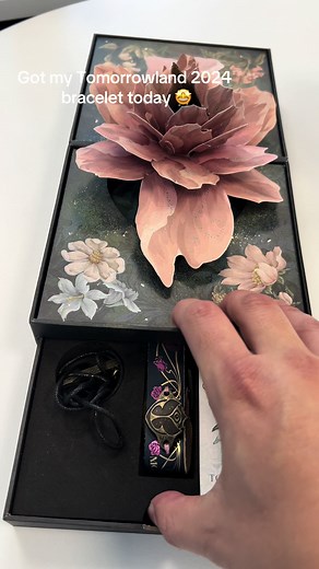 Tomorrowland 2024 Festival: Bracelet, EDM, and Life Experience