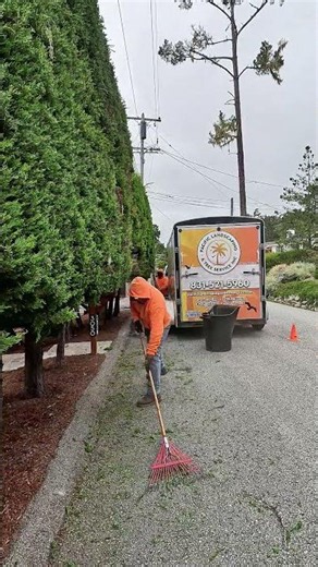 Landscape Maintenance