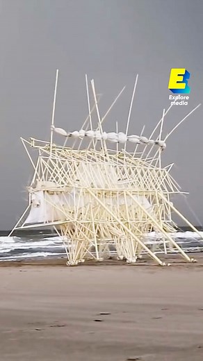 Explore Media on Instagram: "Ces sculptures marchent toutes seules ! 😯 ° En 25 ans, le sculpteur néerlandais Theo Jansen a réalisé une quarantaine de ces sculptures insolites ! Elles sont construites grâce à des bouteilles vides et des tubes en PVC utilisés dans les installations électriques, que l’on ne retrouve qu’en Belgique 🇧🇪 et aux Pays-Bas 🇳🇱. Pour faire face à de potentielles ruptures de stock, Theo Jansen a tout prévu : il a déjà acheté 50 km de ces tubes pour pouvoir réaliser ses 