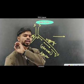 DNA Ligase (DNA glu)#dna #molecularbiology #glue